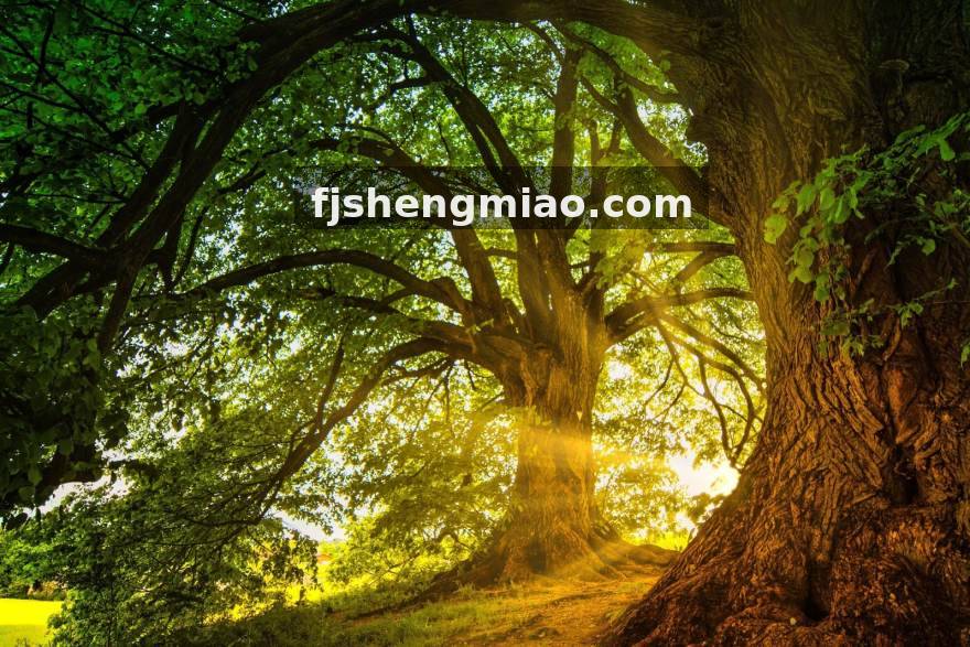 极速电竞 复盘秋季赛关键团战：从三场典型对局看运营节奏的胜负手